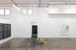 Installation view at Groc Projects by Esther Miquel and Xavi Cerre. Curated by Esther Miquel.