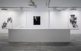 Installation view of the exhibition Silent Noise by Esther Miquel at Galeria Fran Reus in Palma de Mallorca.